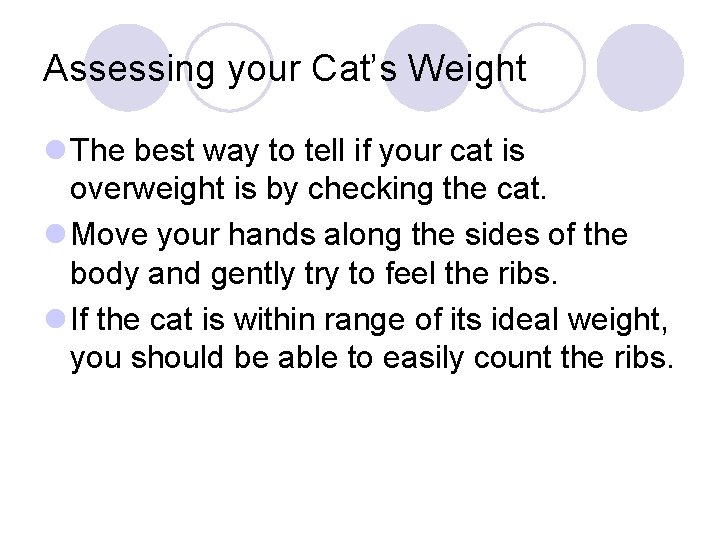 Assessing your Cat’s Weight l The best way to tell if your cat is
