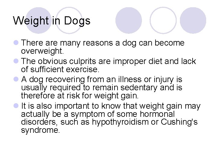 Weight in Dogs l There are many reasons a dog can become overweight. l