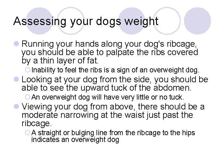 Assessing your dogs weight l Running your hands along your dog's ribcage, you should