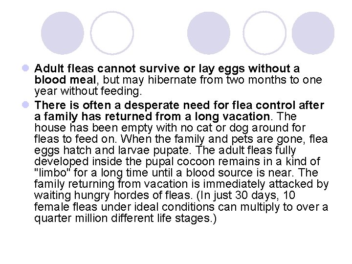 l Adult fleas cannot survive or lay eggs without a blood meal, but may