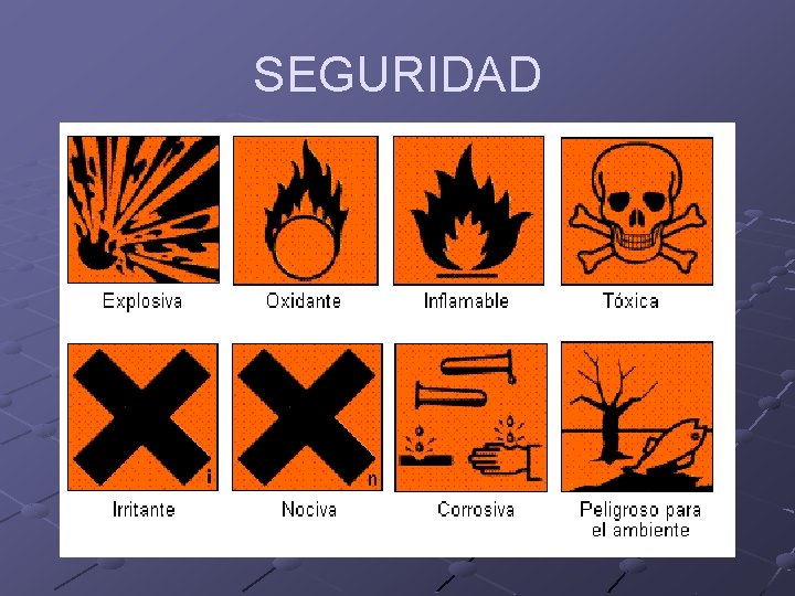 SEGURIDAD 