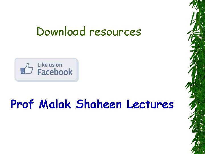 Download resources Prof Malak Shaheen Lectures 
