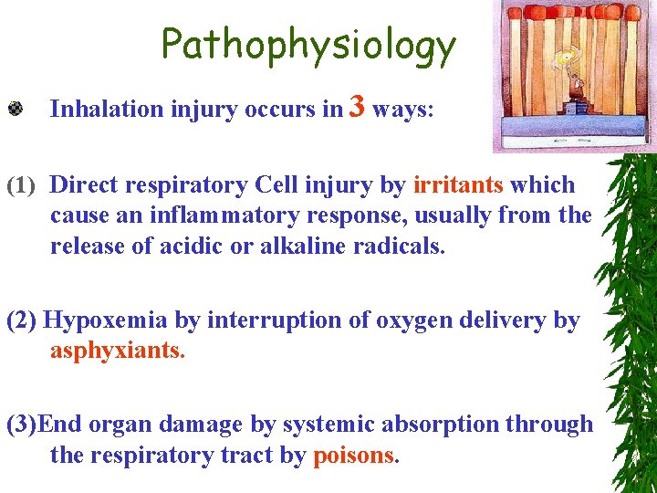 Pathophysiology Inhalation injury occurs in 3 ways: (1) Direct respiratory Cell injury by irritants