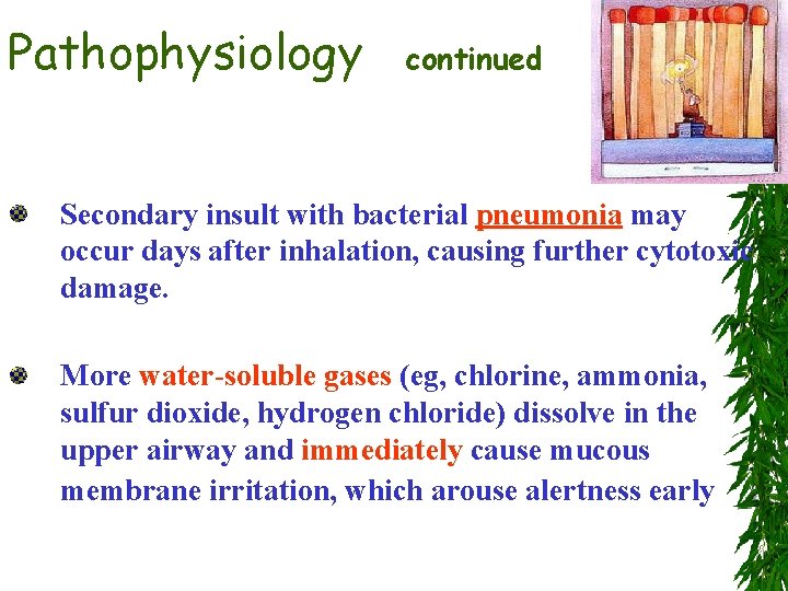 Pathophysiology continued Secondary insult with bacterial pneumonia may occur days after inhalation, causing further