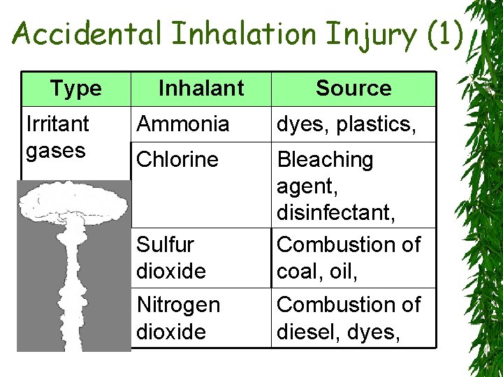 Accidental Inhalation Injury (1) Type Irritant gases Inhalant Source Ammonia dyes, plastics, Chlorine Bleaching