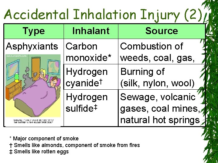 Accidental Inhalation Injury (2) Type Inhalant Asphyxiants Carbon monoxide* Hydrogen cyanide† Hydrogen sulfide‡ Source