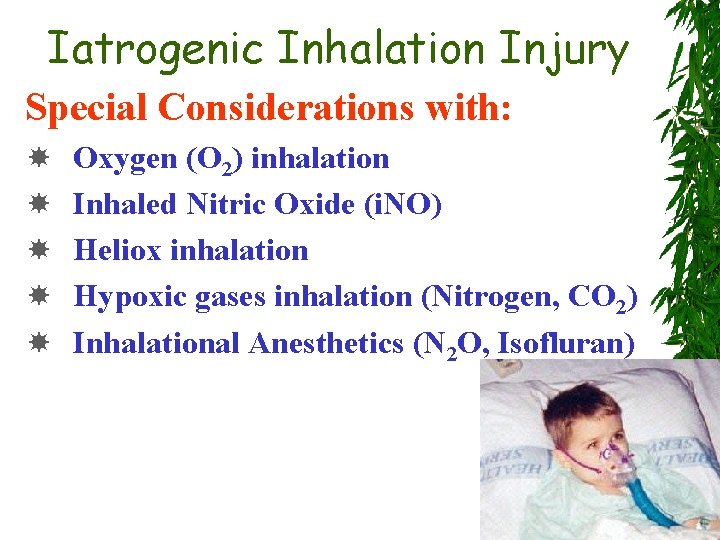 Iatrogenic Inhalation Injury Special Considerations with: Oxygen (O 2) inhalation Inhaled Nitric Oxide (i.