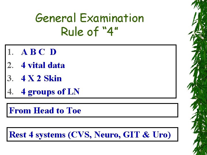 General Examination Rule of “ 4” 1. 2. 3. 4. ABC D 4 vital