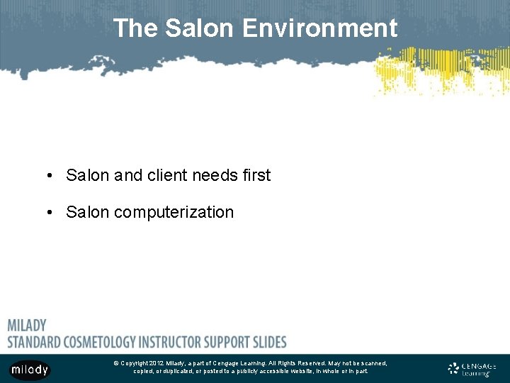 The Salon Environment • Salon and client needs first • Salon computerization © Copyright