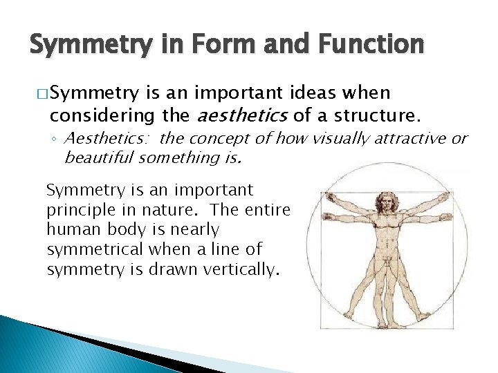Symmetry in Form and Function � Symmetry is an important ideas when considering the Symmetry in Form and Function � Symmetry is an important ideas when considering the