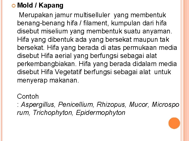  Mold / Kapang Merupakan jamur multiselluler yang membentuk benang-benang hifa / filament, kumpulan