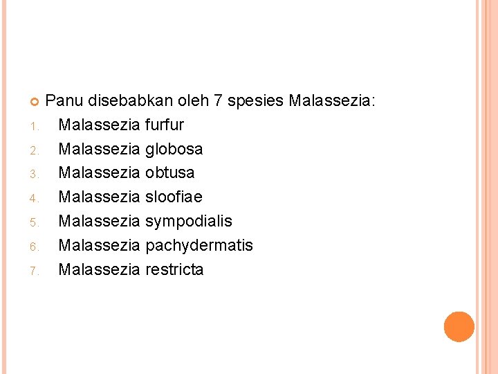 Panu disebabkan oleh 7 spesies Malassezia: 1. Malassezia furfur 2. Malassezia globosa 3. Malassezia