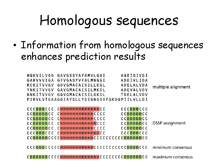 Homologous sequences • Information from homologous sequences enhances prediction results 