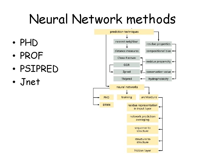 Neural Network methods • • PHD PROF PSIPRED Jnet 