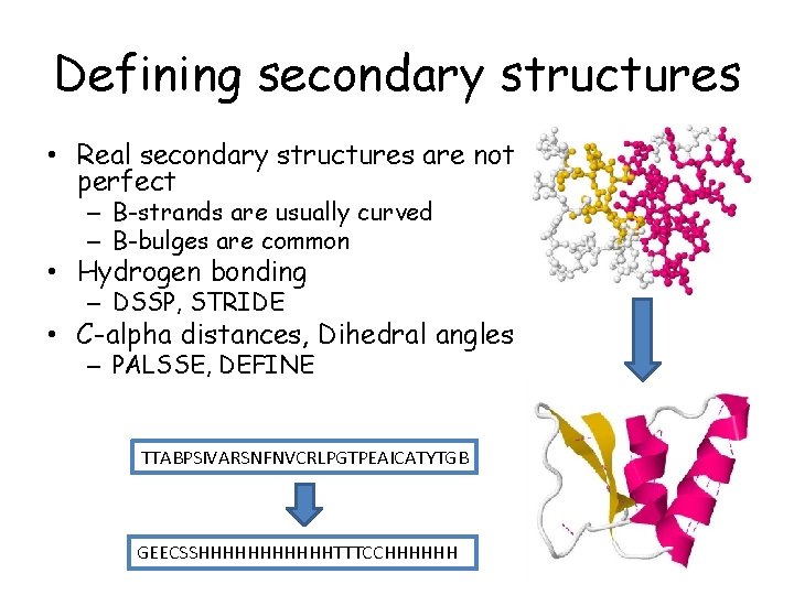 Defining secondary structures • Real secondary structures are not perfect – B-strands are usually