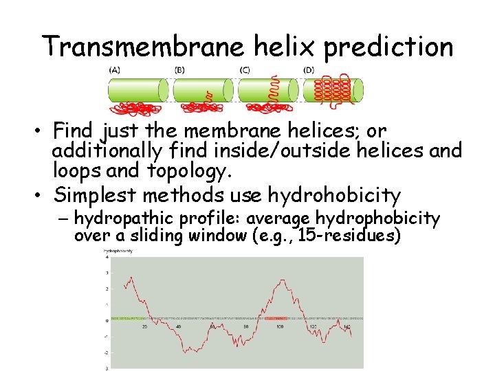 Transmembrane helix prediction • Find just the membrane helices; or additionally find inside/outside helices