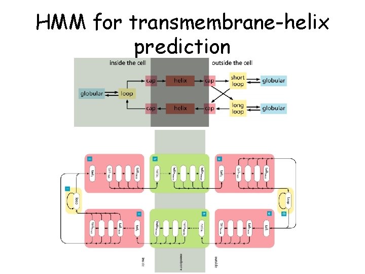 HMM for transmembrane-helix prediction 