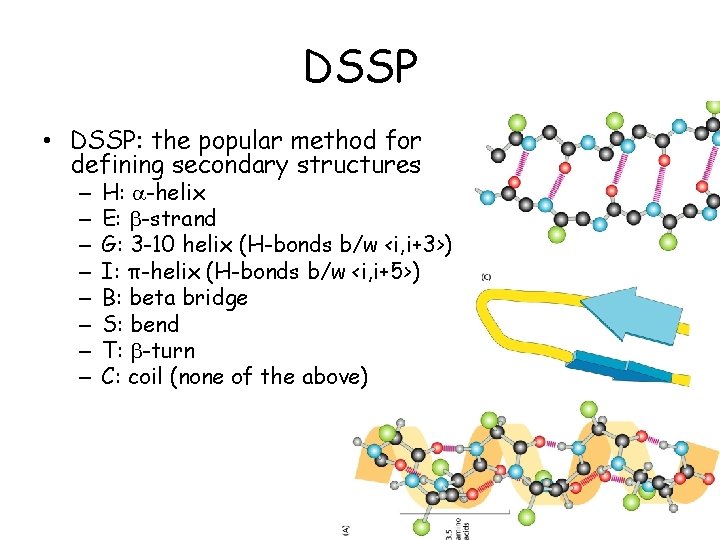 DSSP • DSSP: the popular method for defining secondary structures – – – –