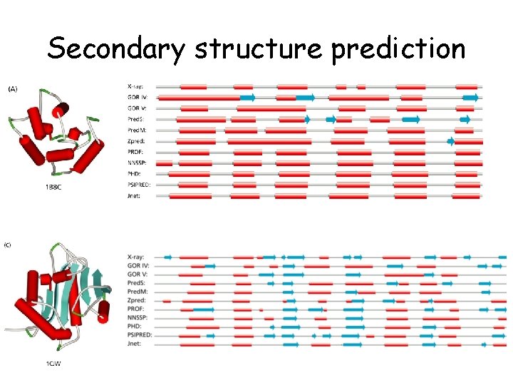 Secondary structure prediction 