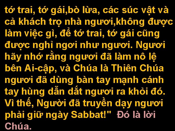 tớ trai, tớ gái, bò lừa, các súc vật và cả khách trọ nhà