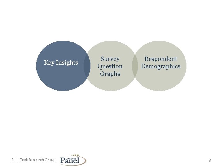Key Insights Info-Tech Research Group Survey Question Graphs Respondent Demographics 3 