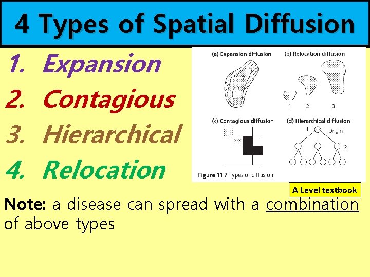 4 1. 2. 3. 4. Types of Spatial Diffusion Expansion Contagious Hierarchical Relocation A