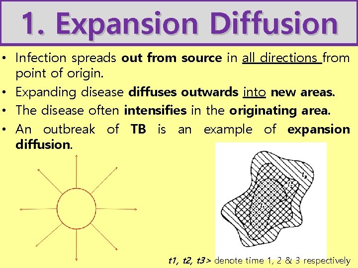 1. Expansion Diffusion • Infection spreads out from source in all directions from point