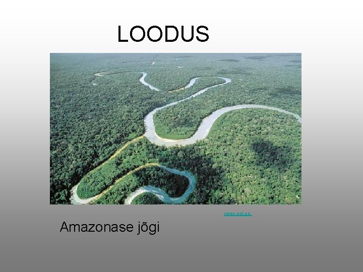 LOODUS www. epl. ee Amazonase jõgi 