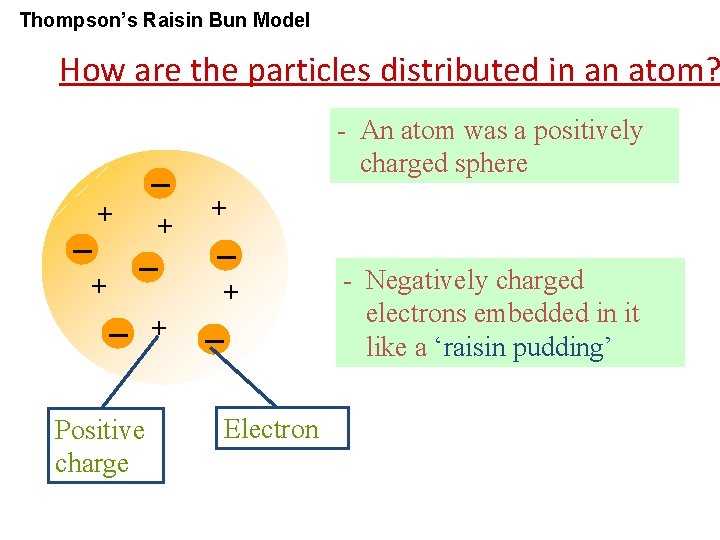 Thompson’s Raisin Bun Model How are the particles distributed in an atom? - An
