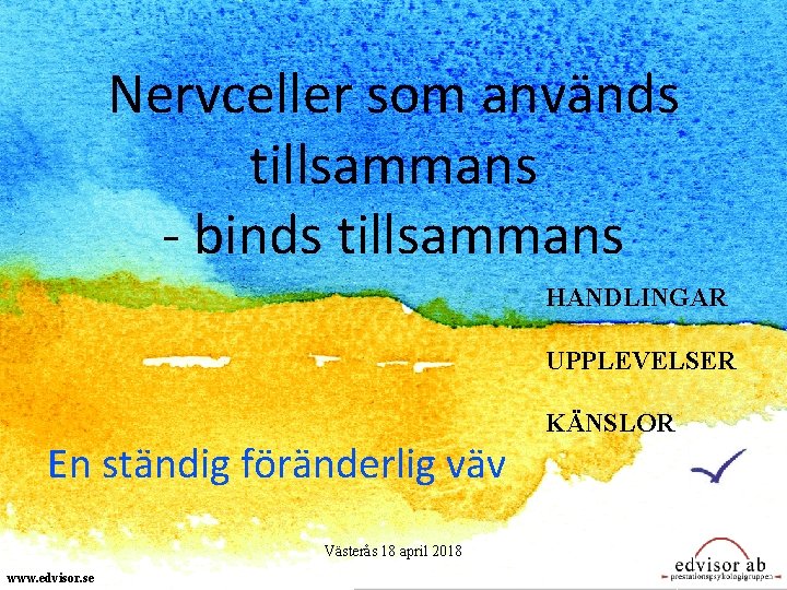 Nervceller som används tillsammans - binds tillsammans HANDLINGAR UPPLEVELSER En ständig föränderlig väv Västerås