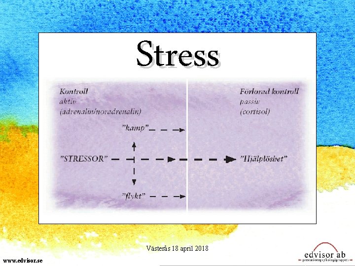 Stress Västerås 18 april 2018 www. edvisor. se 