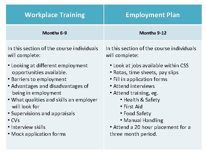 Workplace Training Employment Plan Months 6 -9 Months 9 -12 In this section of