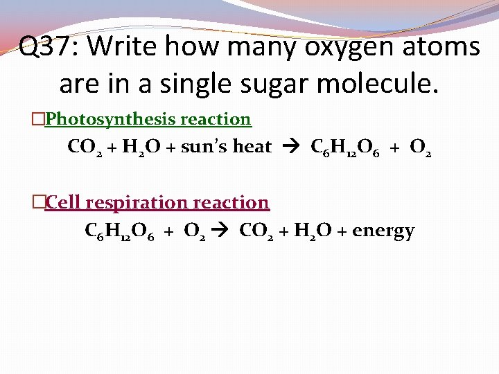 Q 37: Write how many oxygen atoms are in a single sugar molecule. �Photosynthesis