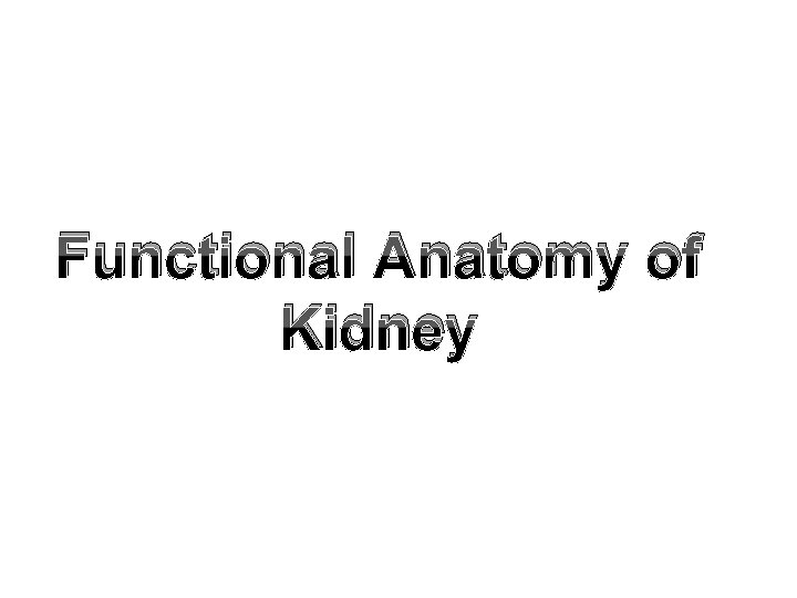 Functional Anatomy of Kidney 