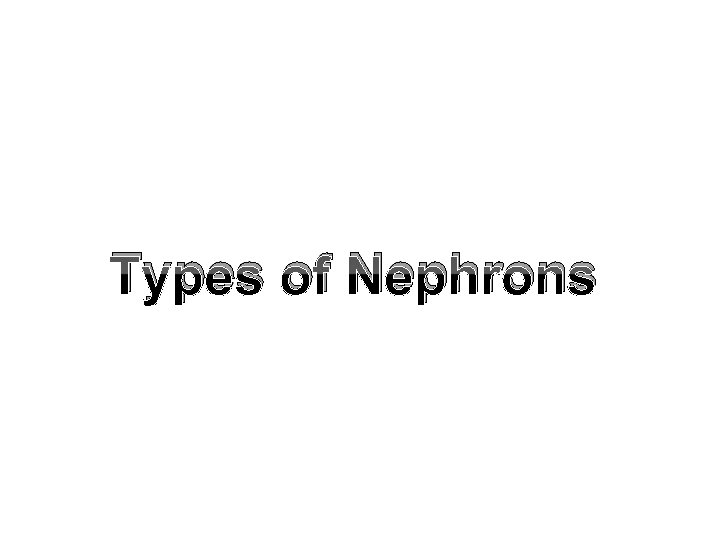 Types of Nephrons 