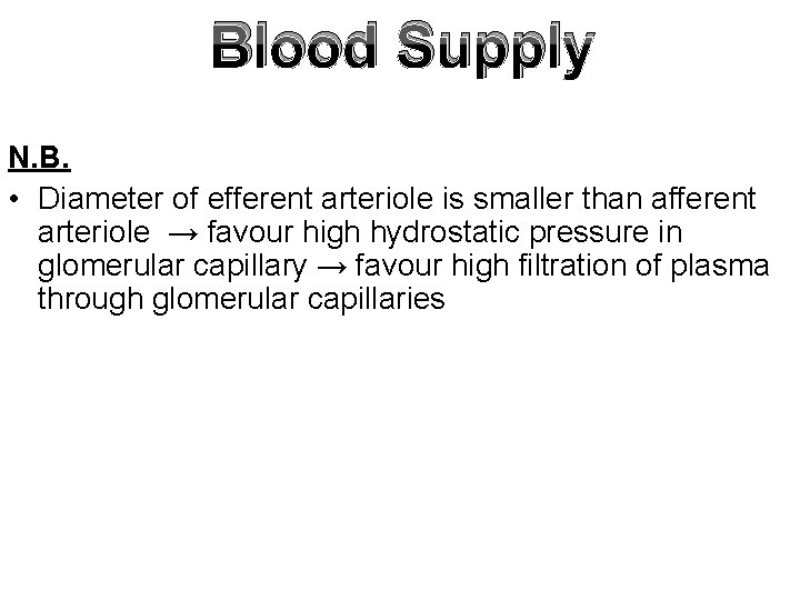 Blood Supply N. B. • Diameter of efferent arteriole is smaller than afferent arteriole