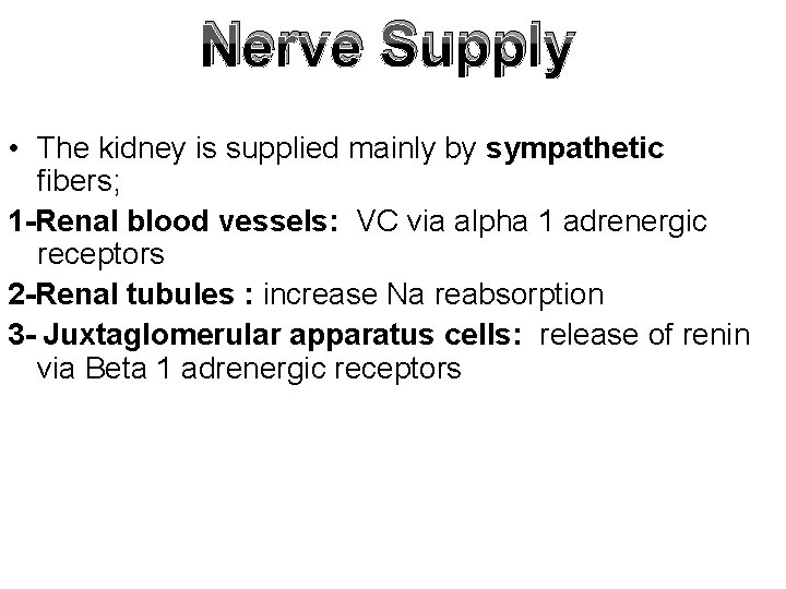 Nerve Supply • The kidney is supplied mainly by sympathetic fibers; 1 -Renal blood