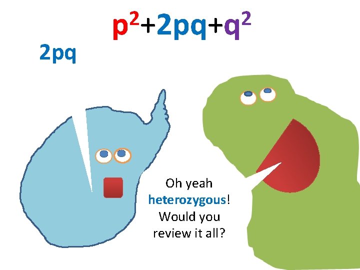 2 pq 2 2 p +2 pq+q Oh yeah heterozygous! Would you review it