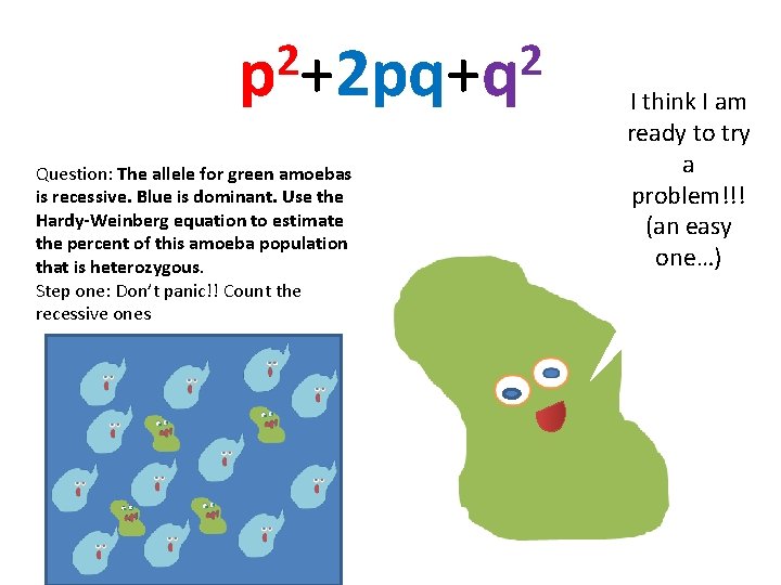 2 2 p +2 pq+q Question: The allele for green amoebas is recessive. Blue