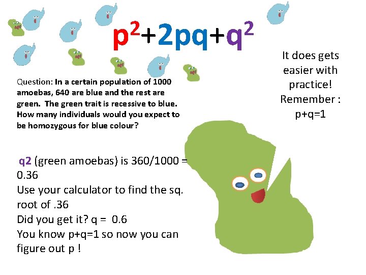 2 2 p +2 pq+q Question: In a certain population of 1000 amoebas, 640