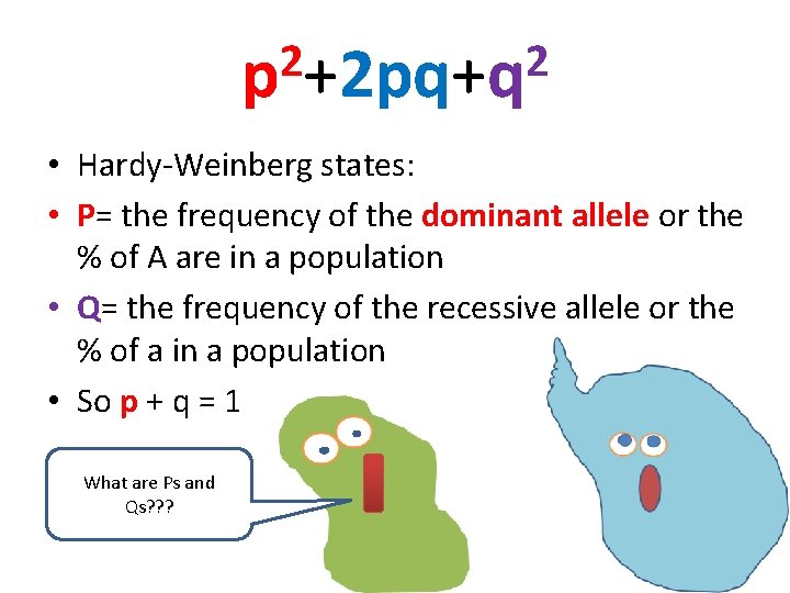 2 2 p +2 pq+q • Hardy-Weinberg states: • P= the frequency of the