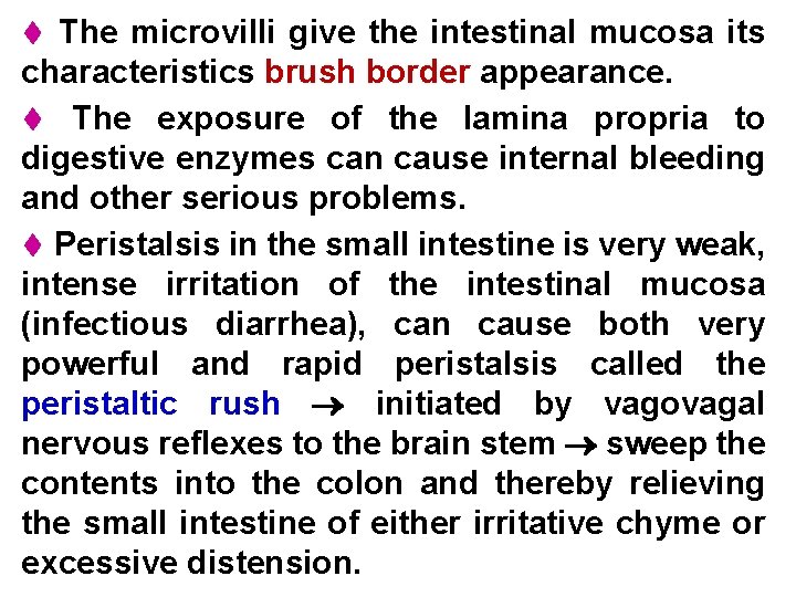  The microvilli give the intestinal mucosa its characteristics brush border appearance. The exposure