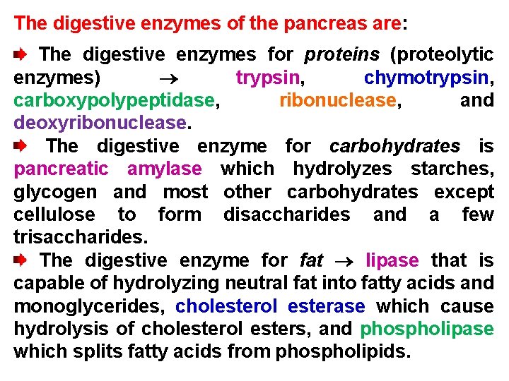 The digestive enzymes of the pancreas are: The digestive enzymes for proteins (proteolytic enzymes)