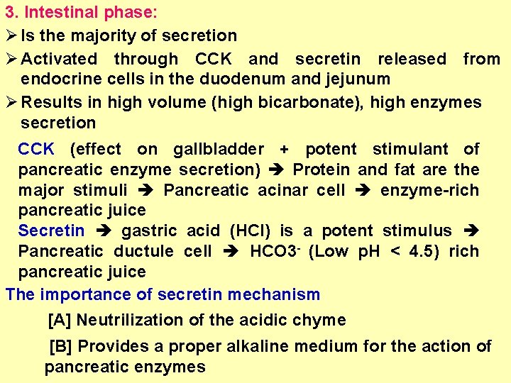 3. Intestinal phase: Ø Is the majority of secretion Ø Activated through CCK and