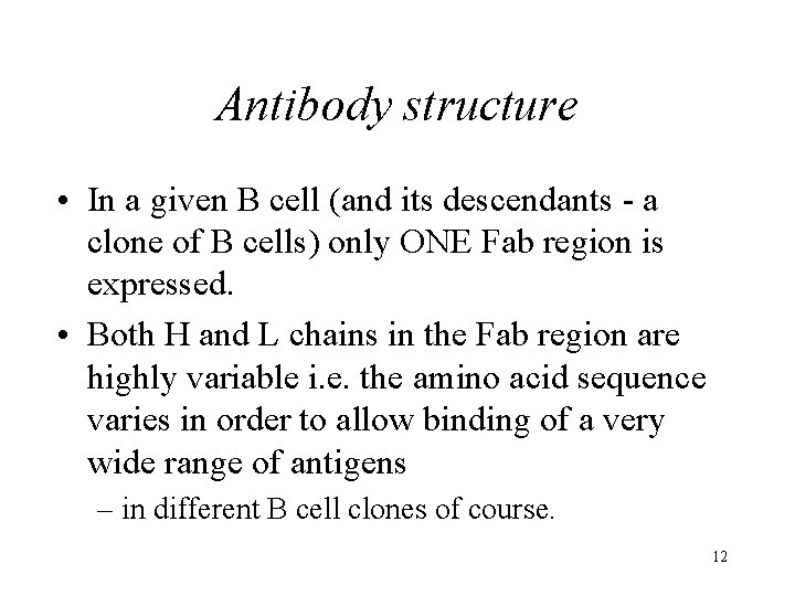 Antibody structure • In a given B cell (and its descendants - a clone