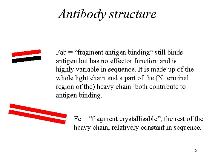 Antibody structure Fab = “fragment antigen binding” still binds antigen but has no effector