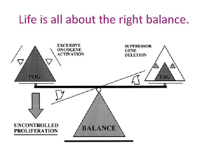 Life is all about the right balance. 