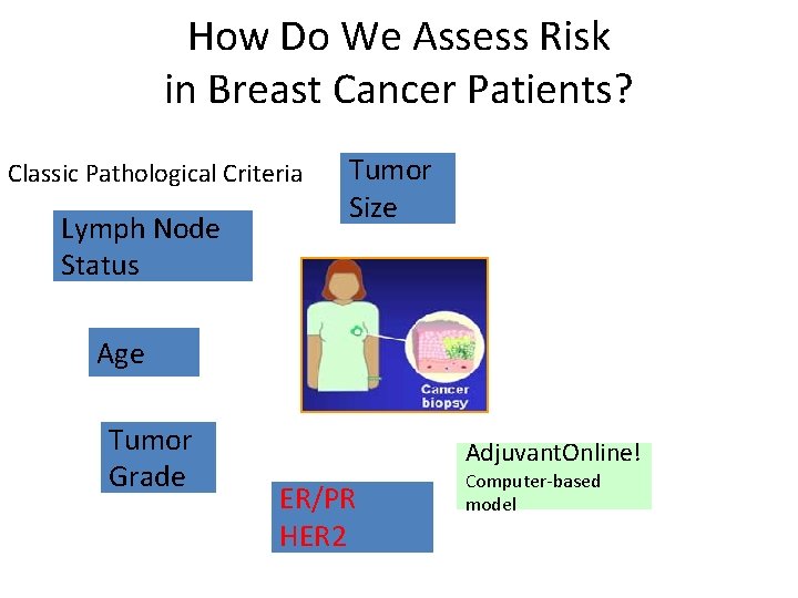 How Do We Assess Risk in Breast Cancer Patients? Classic Pathological Criteria Lymph Node