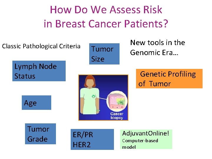 How Do We Assess Risk in Breast Cancer Patients? Classic Pathological Criteria Lymph Node