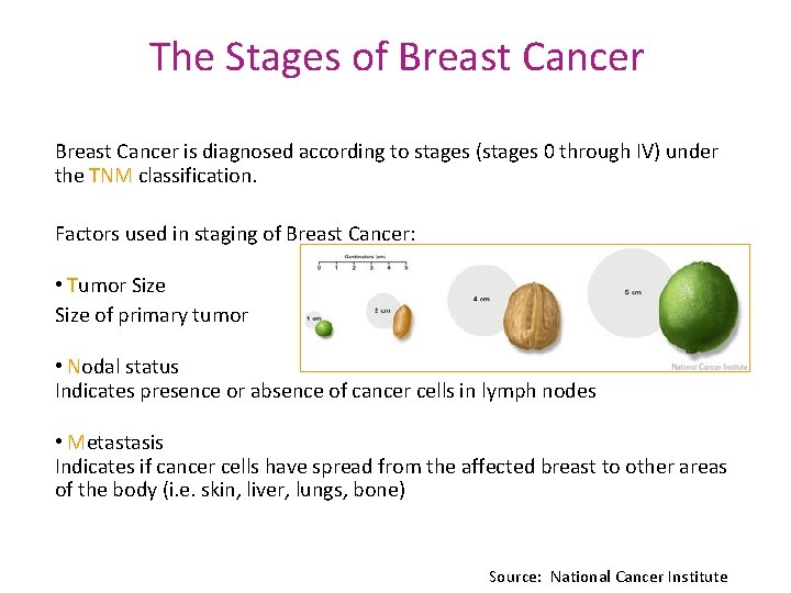 The Stages of Breast Cancer is diagnosed according to stages (stages 0 through IV)